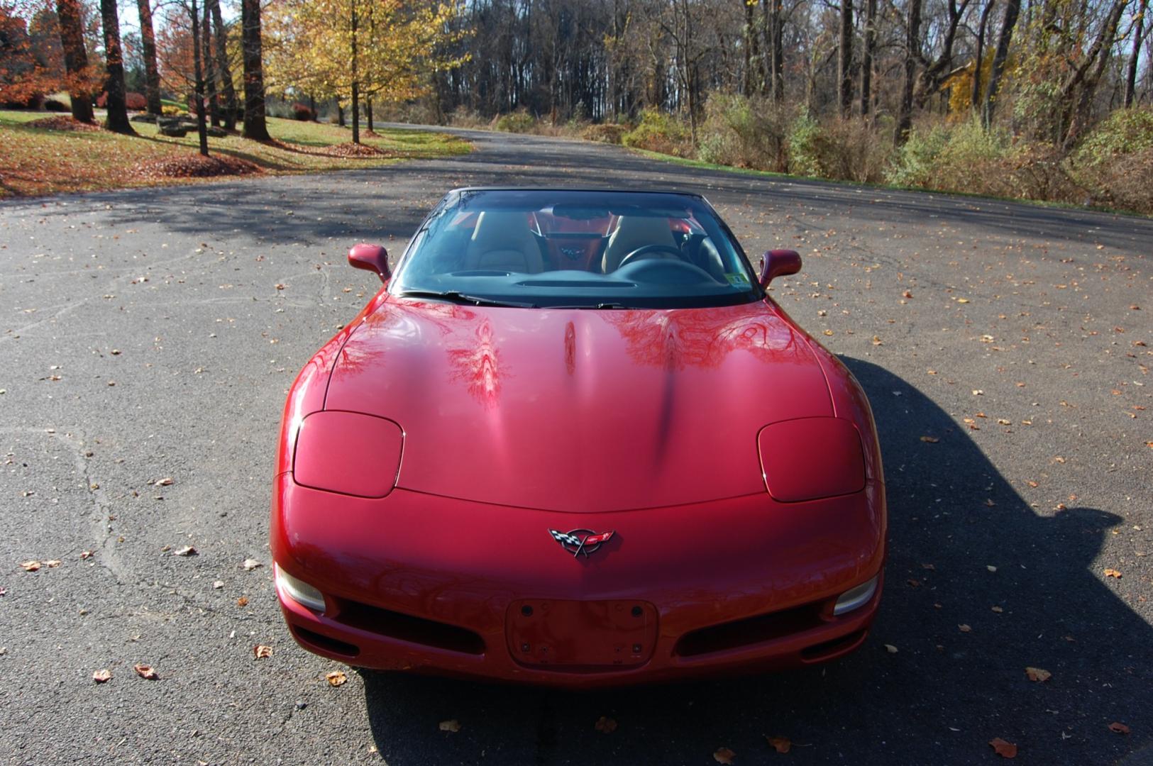 1998 Burgundy /Beige Leather Chevrolet Corvette (1G1YY32G9W5) with an 5.7 liter V8 engine, Automatic transmission, located at 6528 Lower York Road, New Hope, PA, 18938, (215) 862-9555, 40.358707, -74.977882 - Photo#17